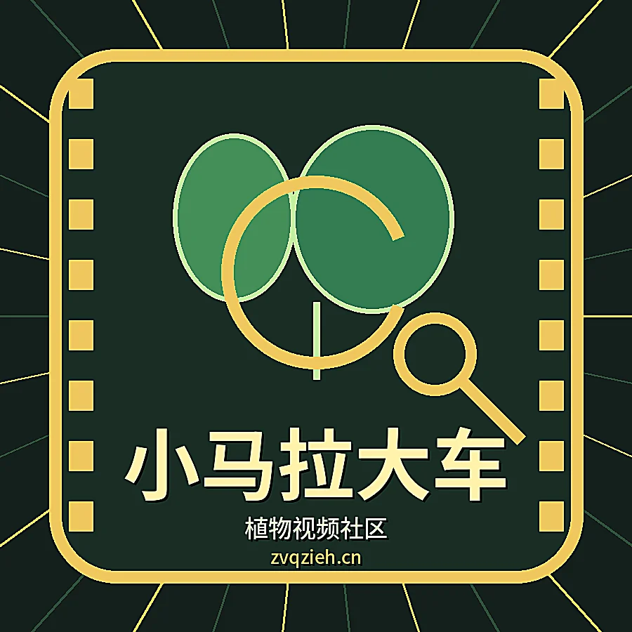 小马拉大车